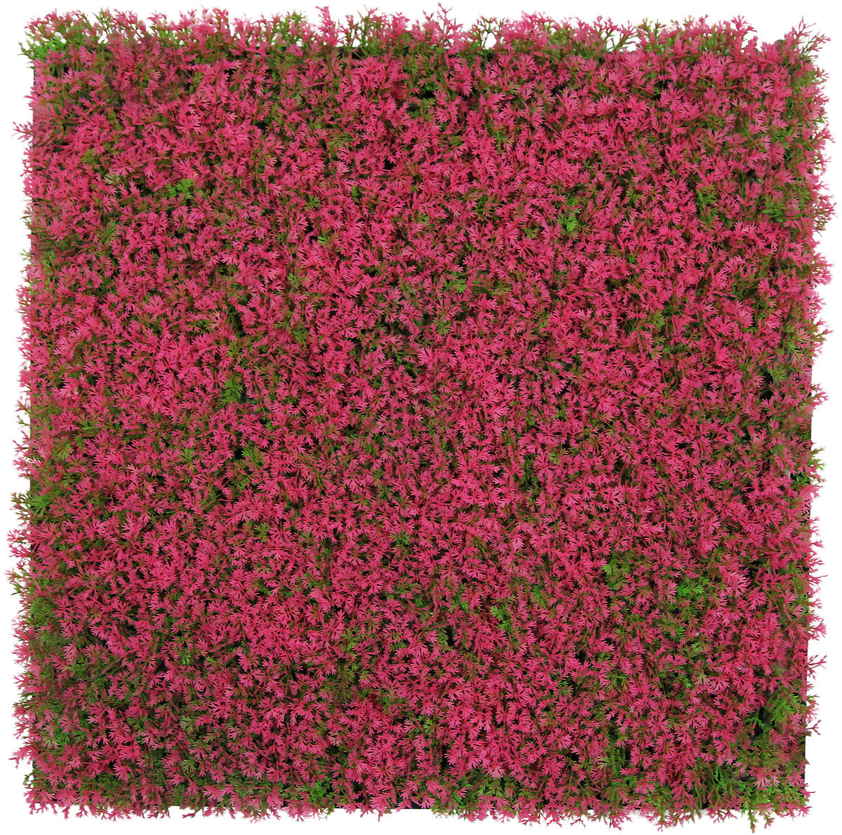 AKUSTIKPANEEL Modular Wall System Design Flora 52/52/2,8 cm  - Rosa, MODERN, Kunststoff (52/52/2,8cm) - Jangal