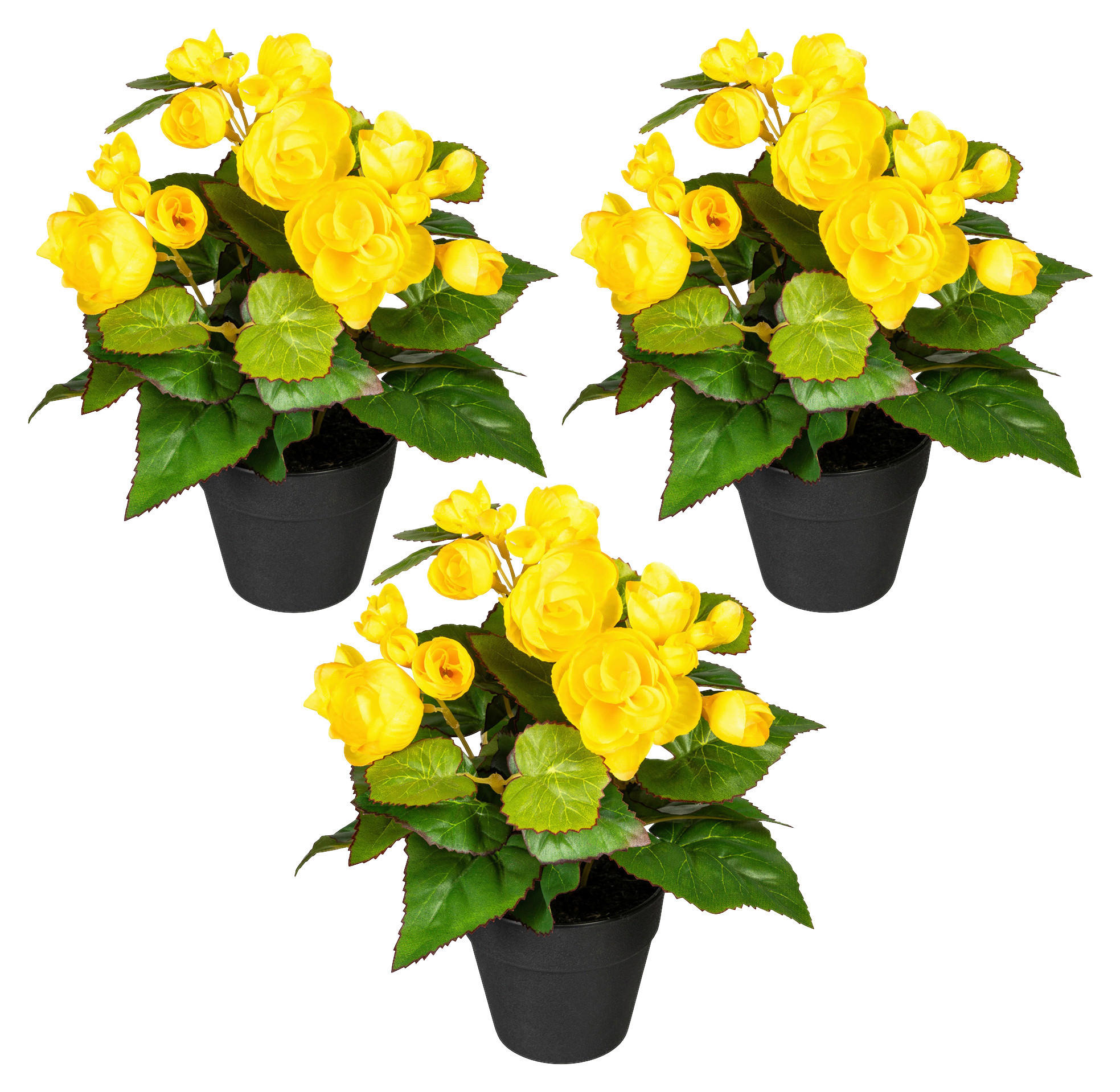 KUNSTPFLANZE Begonien 24 cm  - Gelb/Schwarz, Design, Kunststoff (24cm) - P & B