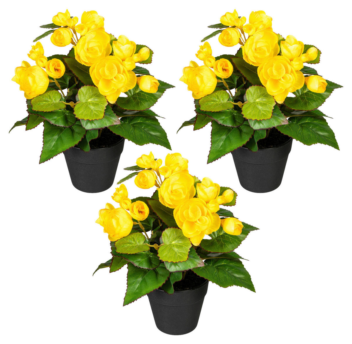KUNSTPFLANZE Begonien 24 cm  - Gelb/Schwarz, Design, Kunststoff (24cm) - P & B