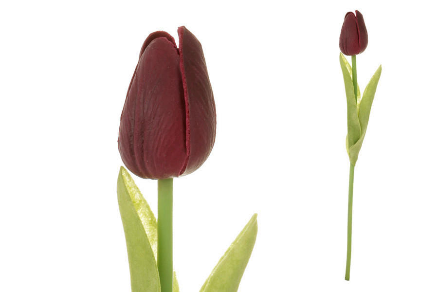 XXXL TULIPÁN 34 cm