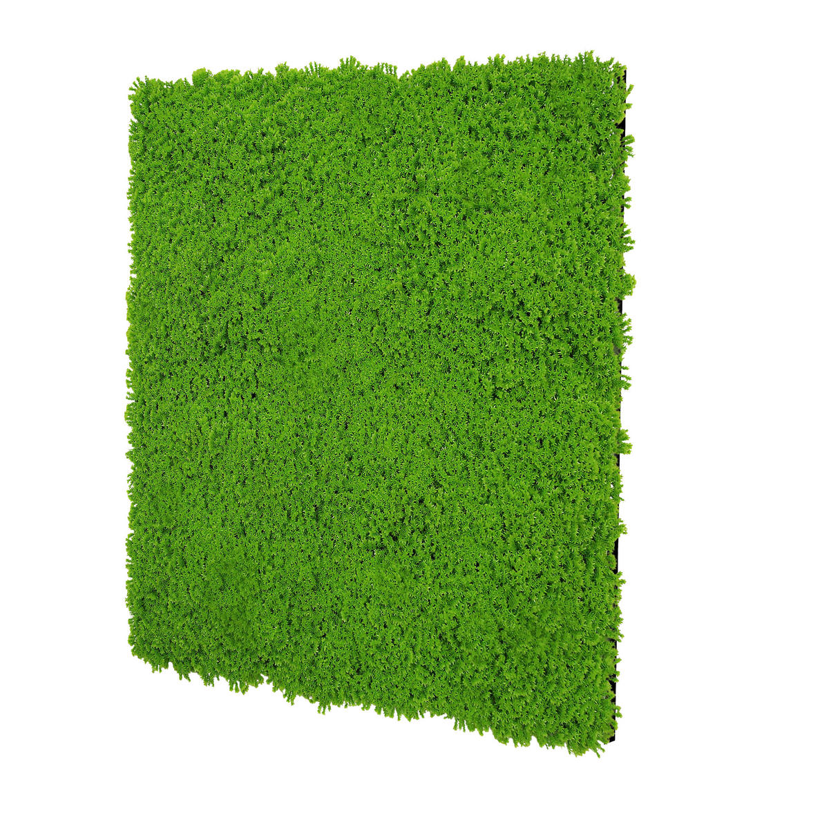 AKUSTIKPANEEL Modular Wall System Design Moos 52/52/2,2 cm  - Hellgrün, KONVENTIONELL, Kunststoff (52/52/2,2cm) - Jangal