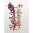 BILD - Multicolor, KONVENTIONELL, Papier (30/40cm) BILD - Multicolor, KONVENTIONELL, Papier (30/40cm)