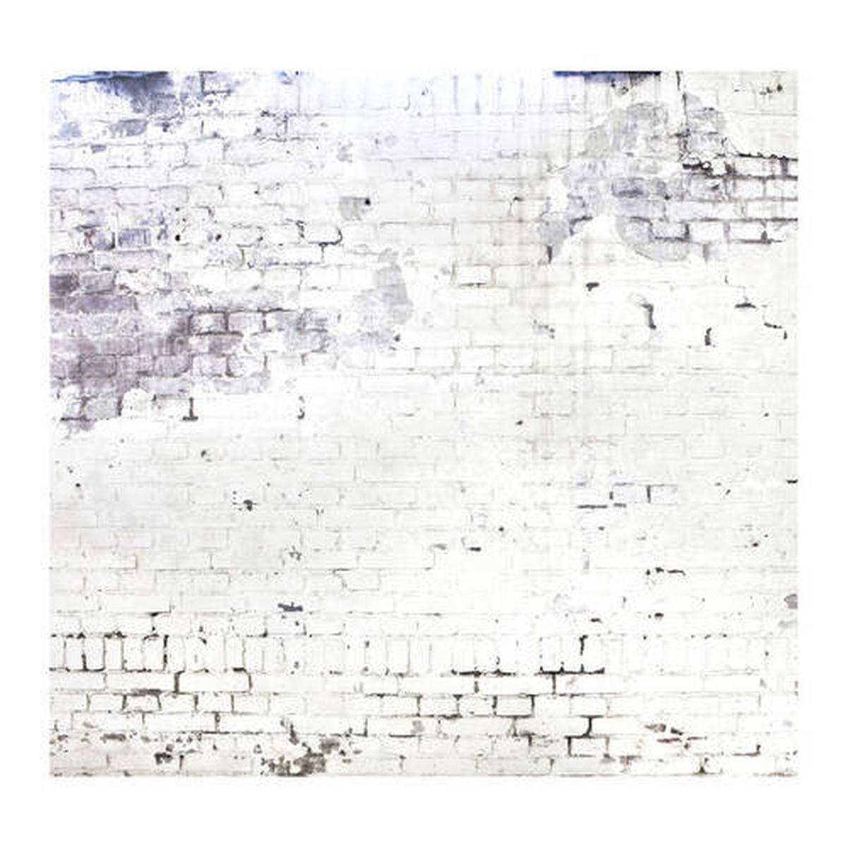 FOTOTAPET 318/300 cm  - grå, Trend, papper/plast (318/300cm)