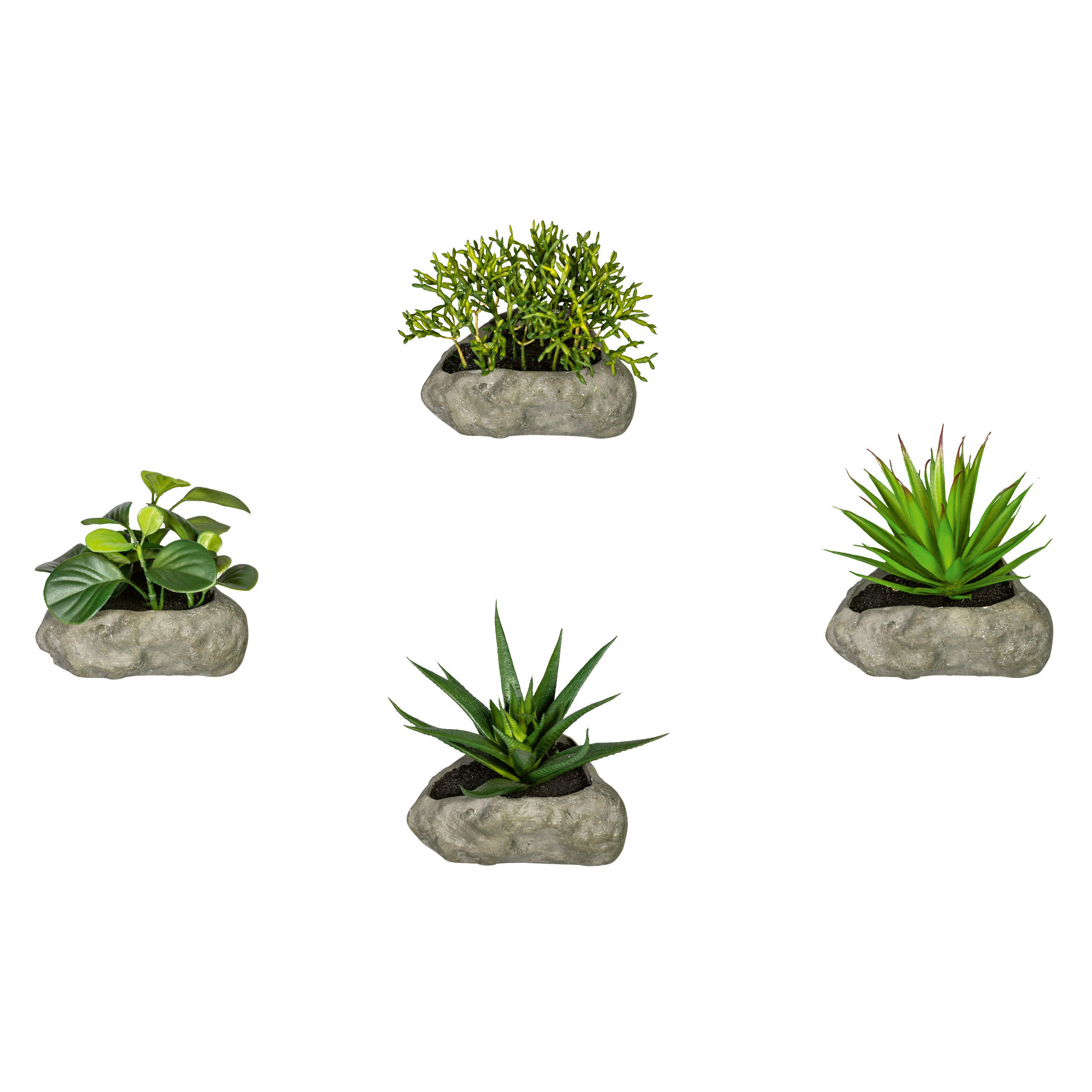KUNSTPFLANZE Sukkulente 12 cm - Grau/Grün, Design, Kunststoff/Stein (12cm) - P & B
