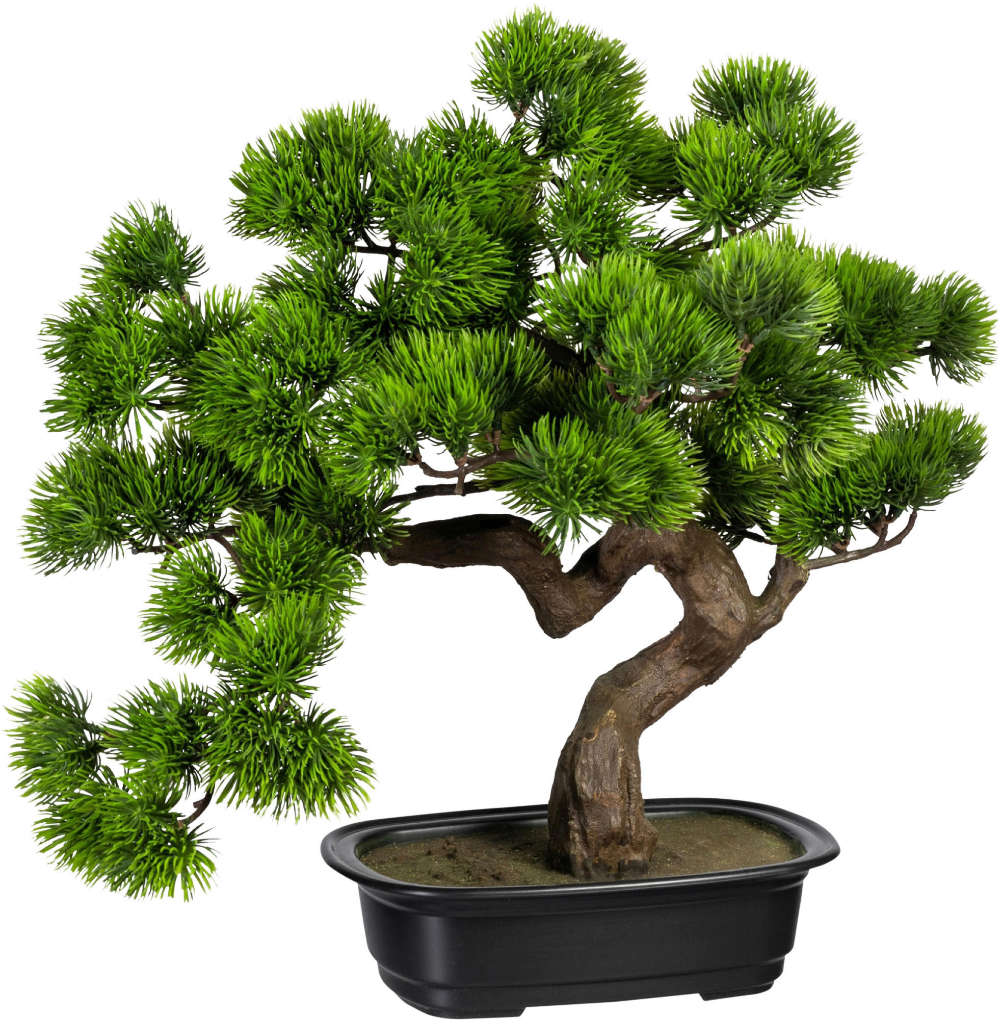 KUNSTPFLANZE Bonsai 40 cm  - Schwarz/Braun, Design, Kunststoff (40cm) - P & B