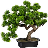 KUNSTPFLANZE Bonsai 40 cm  - Schwarz/Braun, Design, Kunststoff (40cm) - P & B