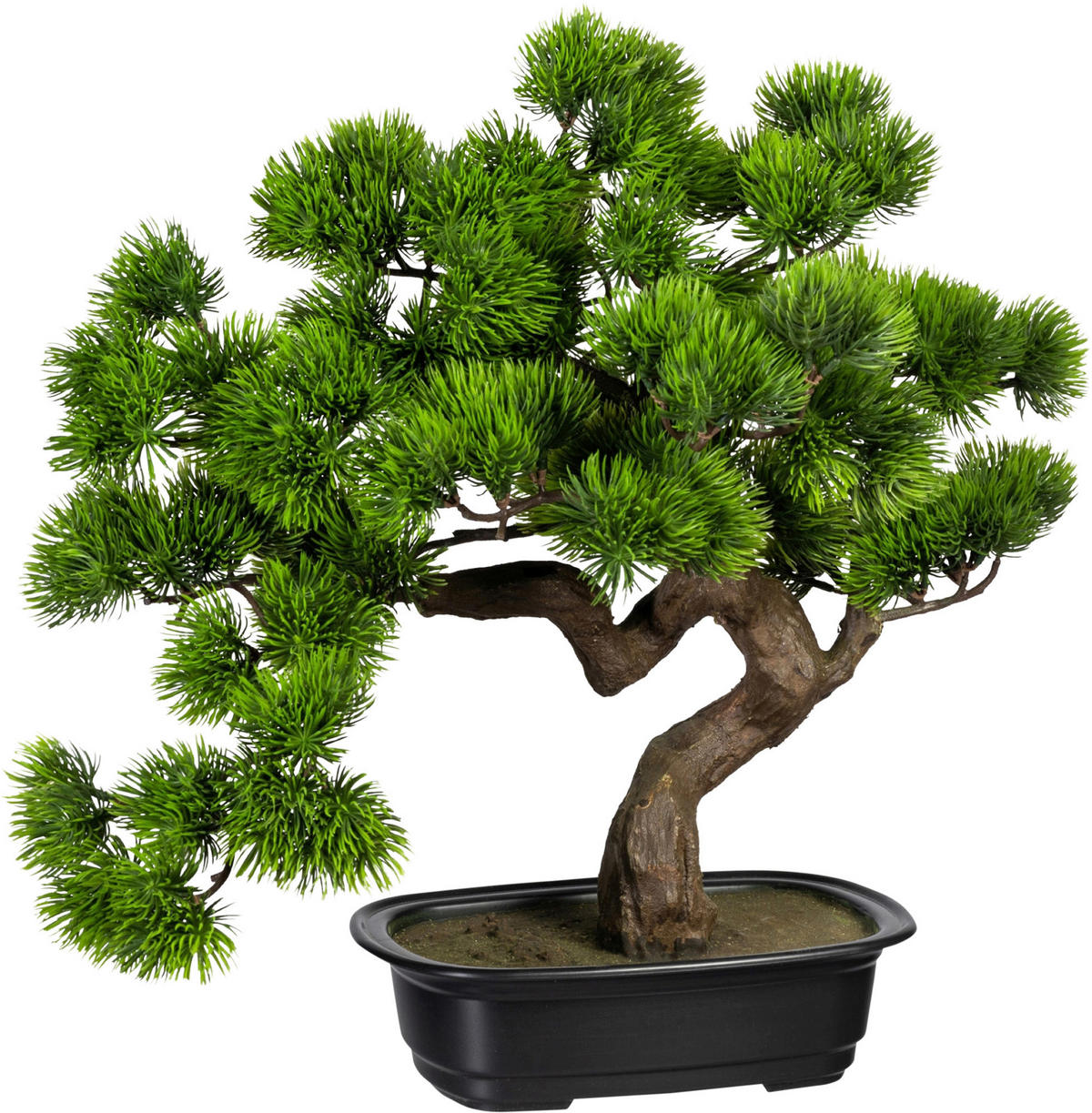 KUNSTPFLANZE Bonsai 40 cm  - Schwarz/Braun, Design, Kunststoff (40cm) - P & B