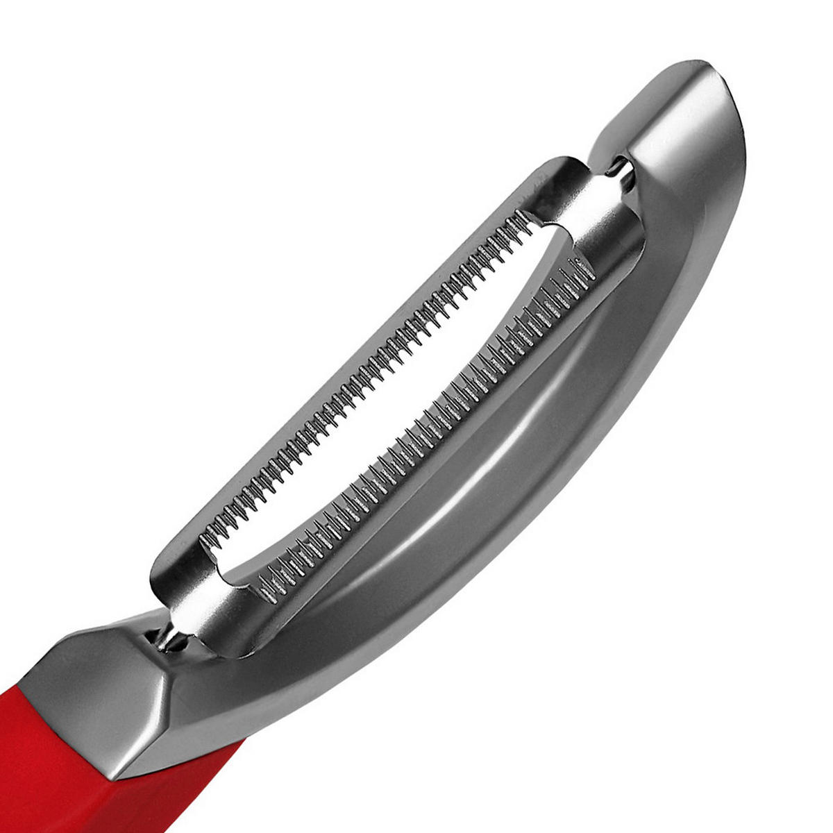SCHÄLER PROFESSIONAL  - Basics, Kunststoff/Metall (18,5/3/3cm) - MICROPLANE