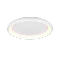 STROPNÍ LED SVÍTIDLO, 75/9,5 cm  - Design (75/9,5cm) - Trio Leuchten