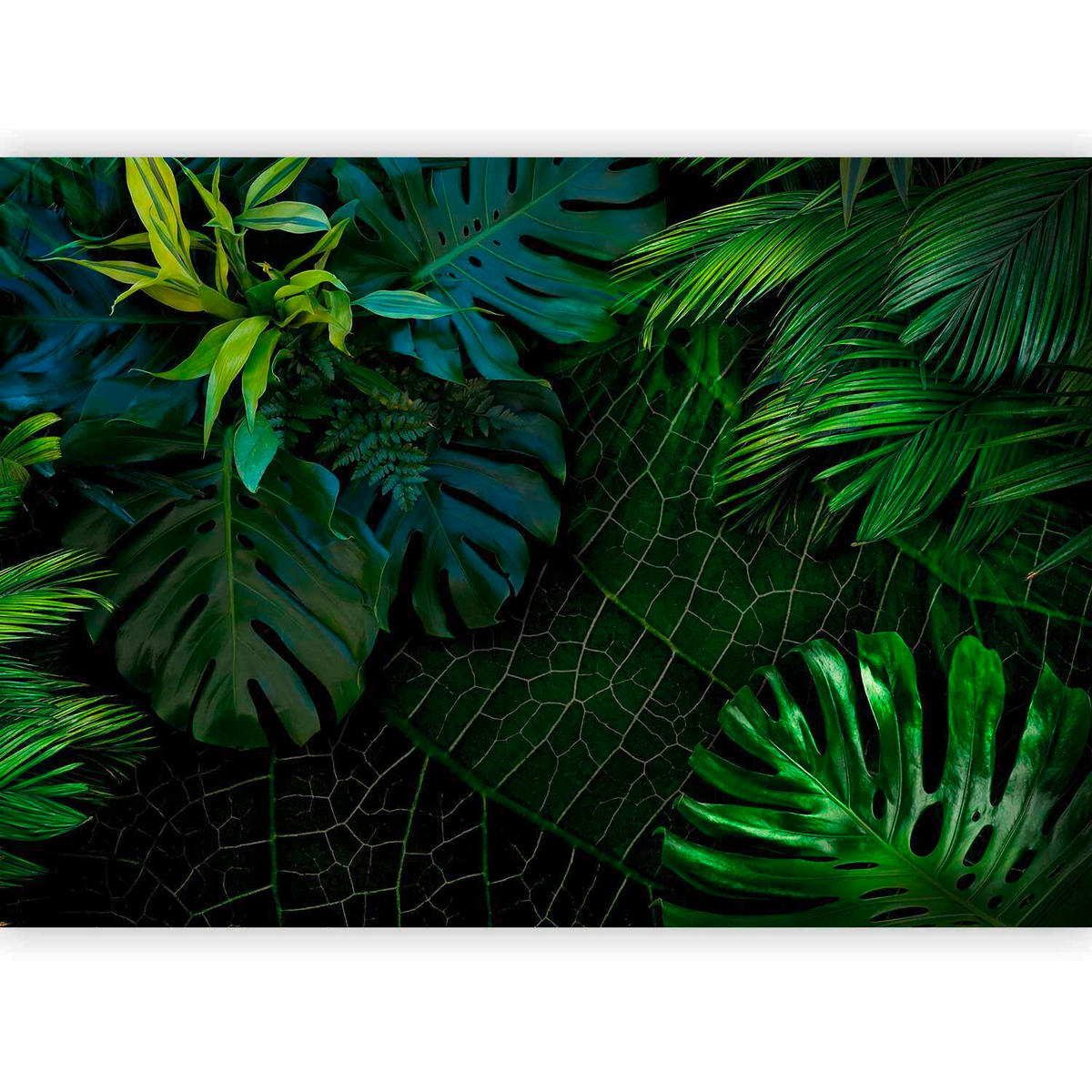 FOTOTAPETE  - Dunkelgrün/Grün, Basics, Textil (100/70cm) - artgeist