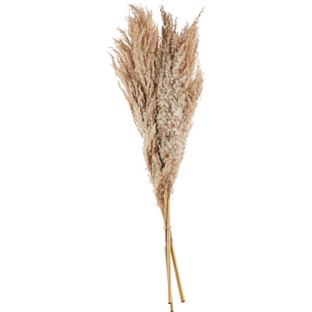 Kunstpflanze Naturfarben L: 80 Cm, Hayo