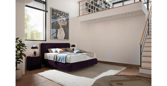 BOXSPRINGBETT 160/200 cm  in Violett  - Violett/Schwarz, Design, Kunststoff/Textil (160/200cm) - Johann Jakob