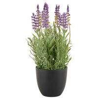 KONSTVÄXT lavendel 31 cm  - ljusgrön/svart, Basics, textil/plast (31cm)