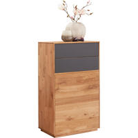 SCHUHSCHRANK Eiche massiv Anthrazit, Eichefarben  - Eichefarben/Anthrazit, Design, Glas/Holz (60/105/38cm) - Waldwelt