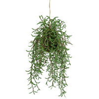ZYPERNGRAS  - Grün, Basics, Kunststoff (17/42cm)