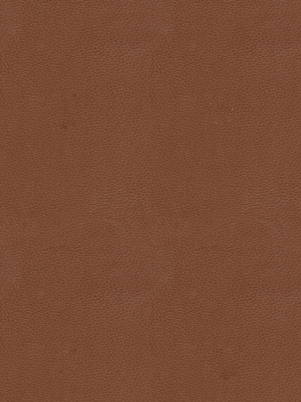 ARMLEHNSTUHL  in Eisen Echtleder pigmentiert  - Cognac/Schwarz, Design, Leder/Metall (59,5/83,5/63,5cm) - Emilio Belluti