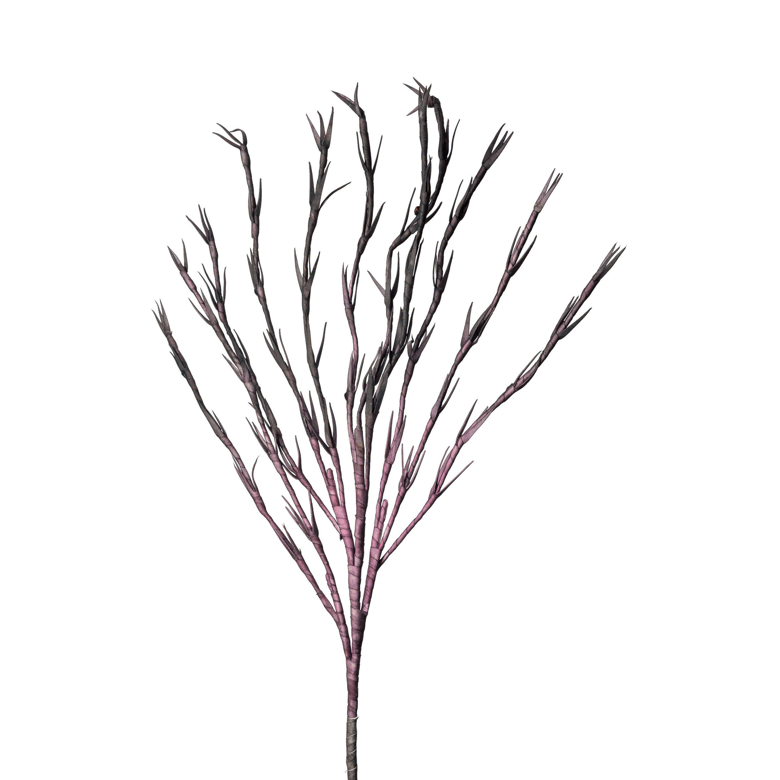 DEKOZWEIG SOFTFLOWER  - Dunkelbraun/Lila, Basics, Kunststoff/Textil (115cm)