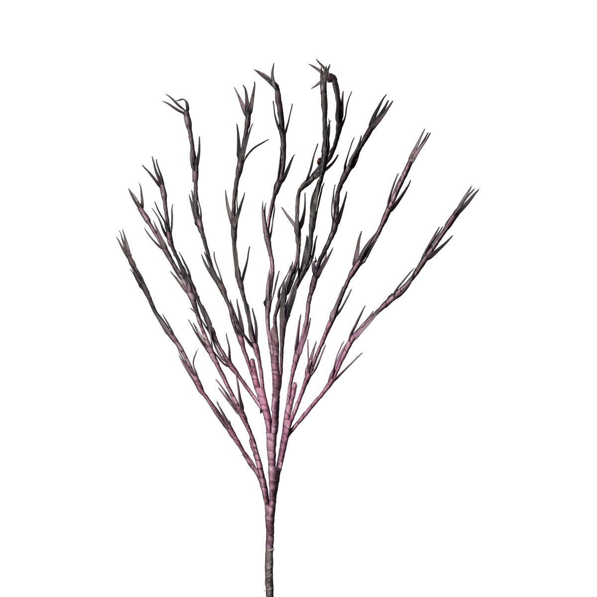 DEKOZWEIG SOFTFLOWER  - Dunkelbraun/Lila, Basics, Kunststoff/Textil (115cm)