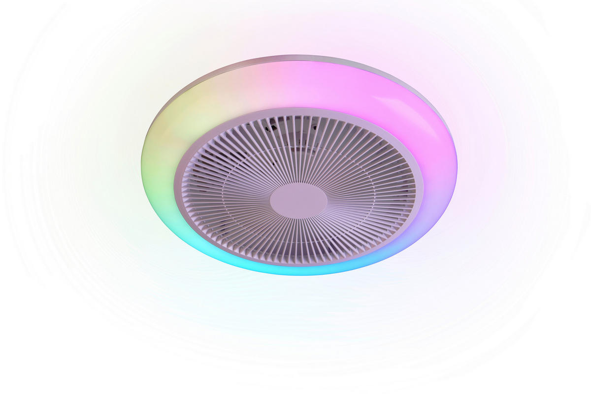 DECKENVENTILATOR - Weiß, Design, Kunststoff (0/14cm)