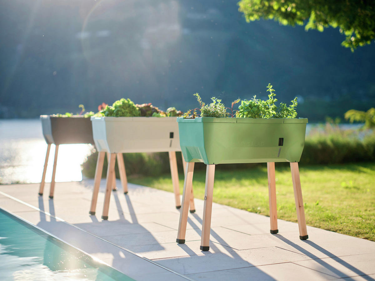 HOCHBEET 38/95/79 cm  - Anthrazit, Basics, Holz/Kunststoff (38/95/79cm) - Gusta Garden