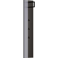 GARDEROBENPANEEL 35/165/26 cm  - Anthrazit/Grau, Design, Glas/Holzwerkstoff (35/165/26cm) - Dieter Knoll