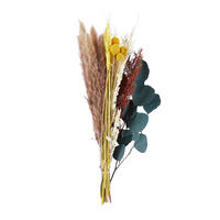 TROCKENBLUMENSTRAUß  - Naturfarben, Basics (45cm)