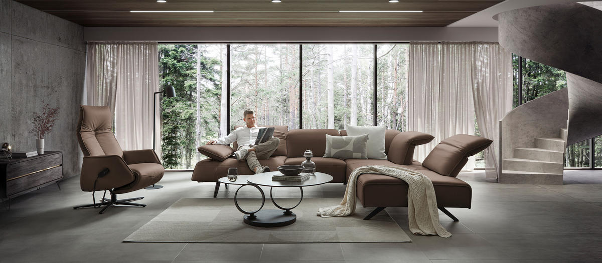 ECKSOFA  in Echtleder Braun  290/230 cm  - Anthrazit/Braun, Design, Leder/Metall (290/230cm) - Johann Jakob