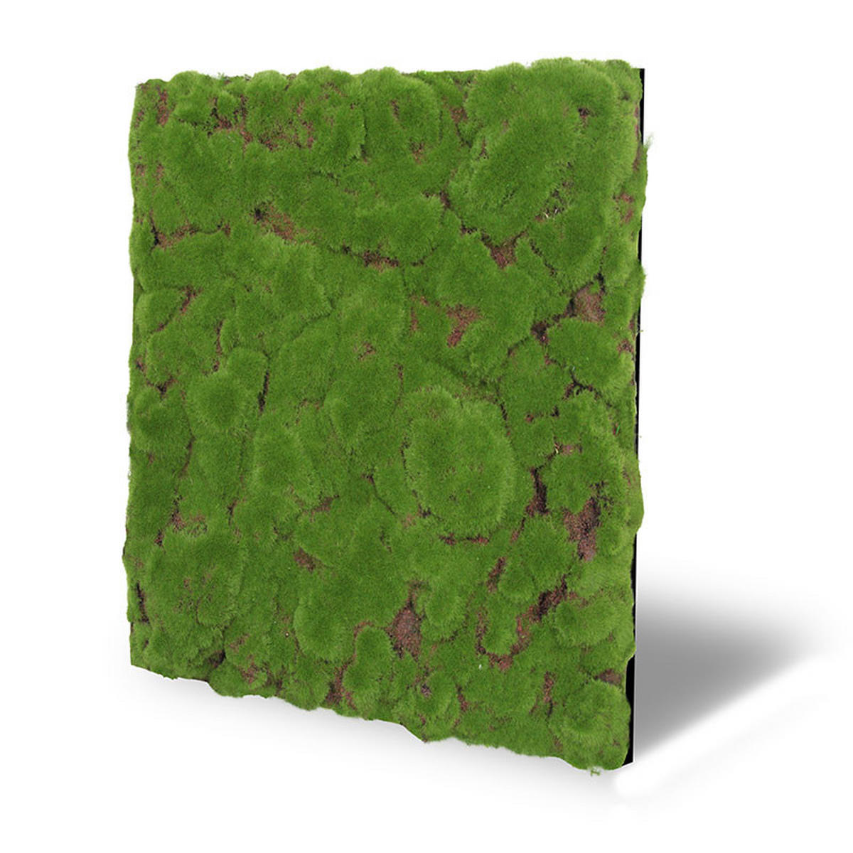 AKUSTIKPANEEL Modular Wall System Design Moos 52/52/2,6 cm  - Hellgrün, KONVENTIONELL, Naturmaterialien (52/52/2,6cm) - Jangal