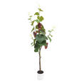 KUNSTPFLANZE 122 cm  - Dunkelrosa/Dunkelbraun, Basics, Kunststoff/Metall (122cm) - Ambia Home