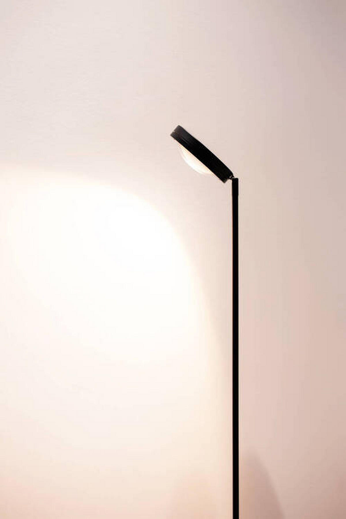 LED-STEHLEUCHTE 28,2/25/160 cm    - Schwarz, Design, Metall (28,2/25/160cm)