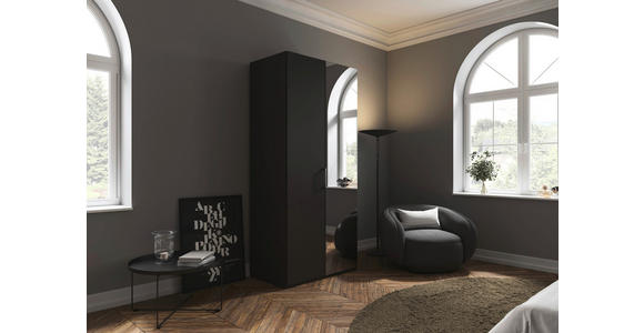 DREHTÜRENSCHRANK 101/223/61 cm,  in Graphitfarben, 2-türig  - Chromfarben/Edelstahlfarben, Basics, Glas/Holzwerkstoff (101/223/61cm) - Novel