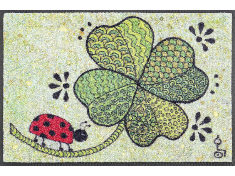 Covoraș De Intrare 40/60 cm  - multicolor, Konventionell, plastic/textil (40/60cm) - wash+dry