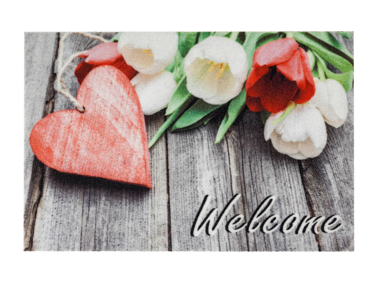 FUßMATTE 40/60 cm  - Rot/Weiß, Trend, Textil (40/60cm)