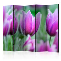 PARAVENT mit 5  Flügel - Violett/Grün, Basics, Holz/Textil (225/172/3cm) - artgeist