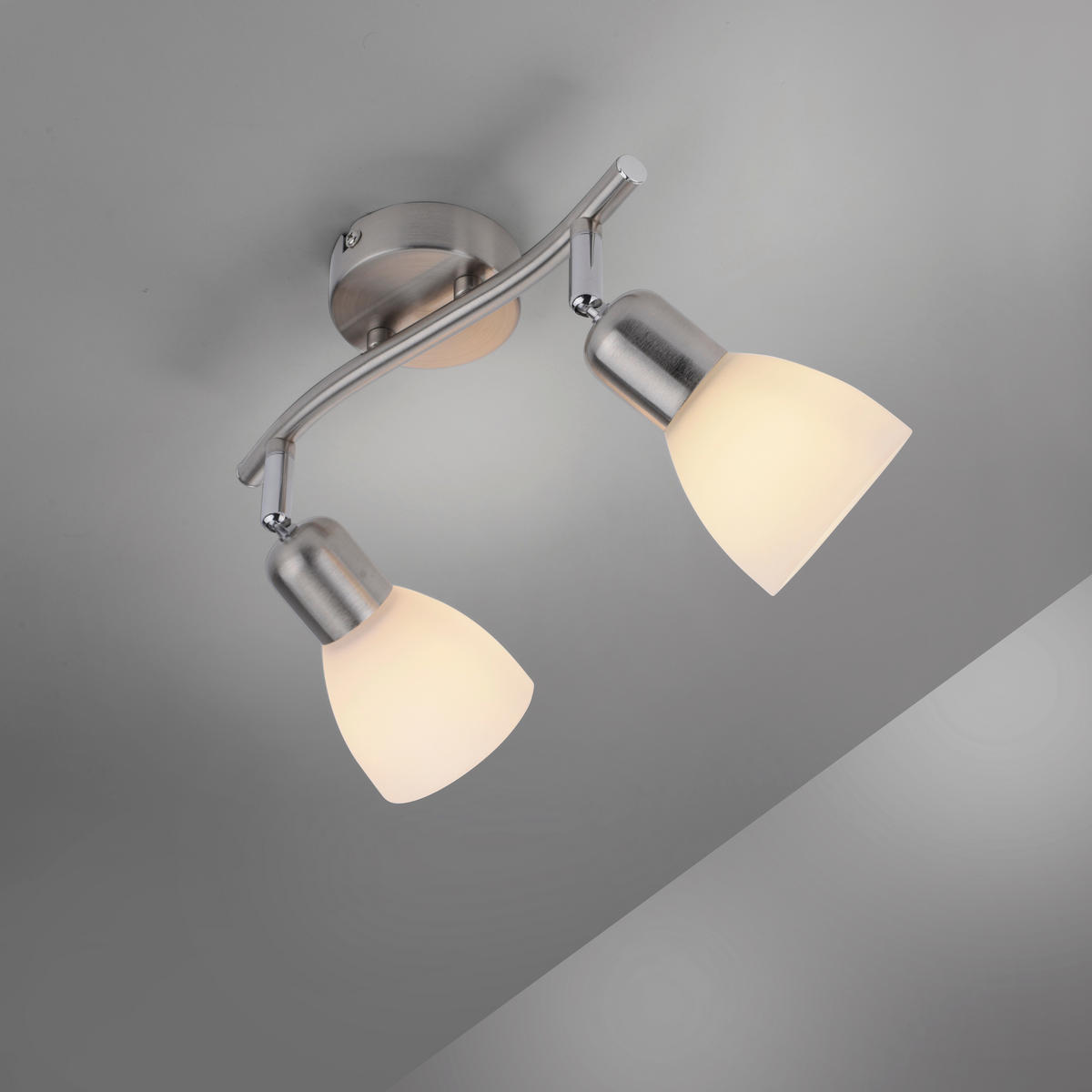 SVJETILJKA STROPNA  - boje oplemenjenog čelika, Basics, staklo/metal (44,8/23/21cm)