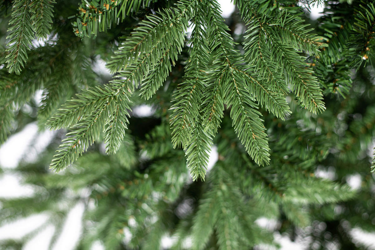 WEIHNACHTSBAUM 210 cm  - Waldgrün, Basics, Kunststoff/Metall (134/210cm)
