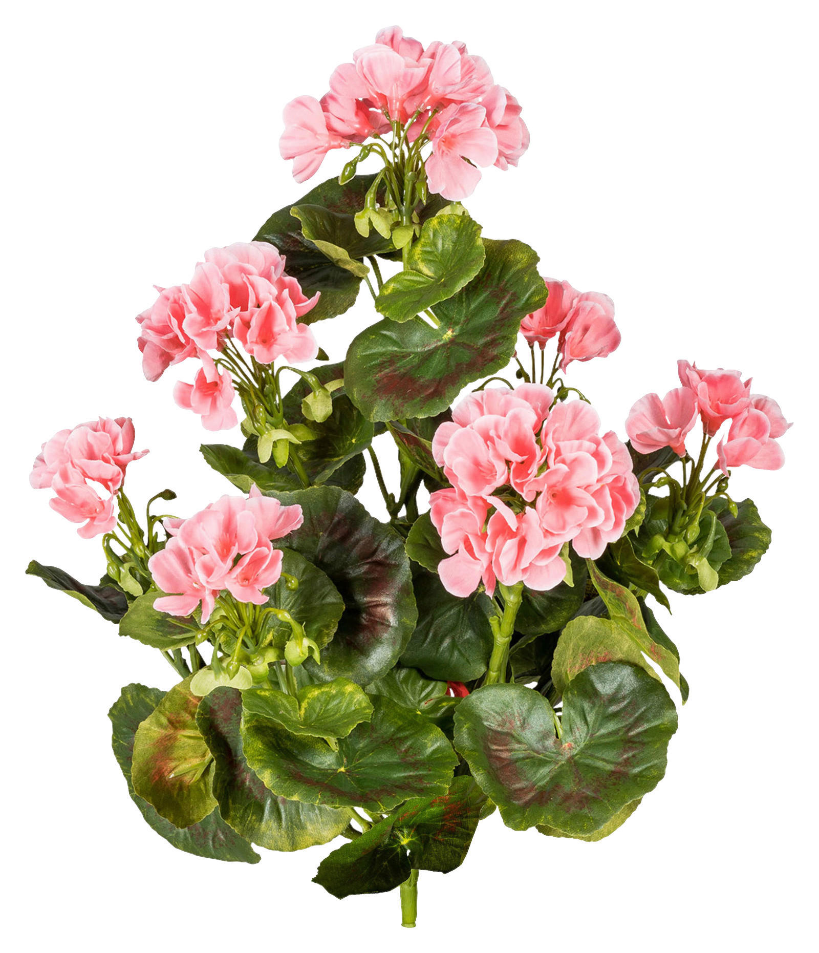KUNSTPFLANZE Geranie 40 cm  - Rosa/Grün, Design, Kunststoff (40cm) - P & B
