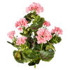 KUNSTPFLANZE Geranie 40 cm  - Rosa/Grün, Design, Kunststoff (40cm) - P & B