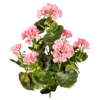 KUNSTPFLANZE Geranie 40 cm  - Rosa/Grün, Design, Kunststoff (40cm) - P & B