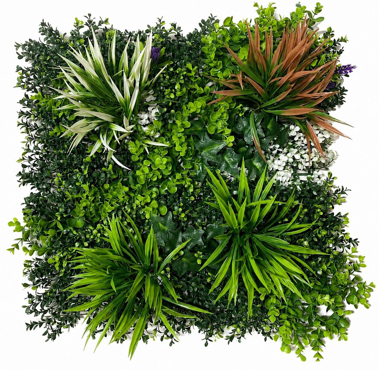OBLOGA ZIDNA  zelena  - zelena, Design, plastika (50/50/3cm)