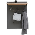 GARDEROBENPANEEL  in 80/109/27 cm  - Eichefarben/Grau, Design, Holz/Holzwerkstoff (80/109/27cm) - Dieter Knoll