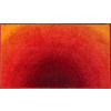 BADTEPPICH Orange 60/100 cm  - Orange, Basics, Kunststoff/Textil (60/100cm) - Grund