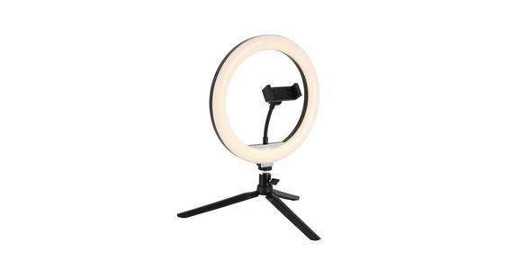 LED-RINGLEUCHTE 24,5/38 cm   - Schwarz/Weiß, Trend, Kunststoff/Metall (24,5/38cm) - Novel