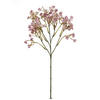 GYPSOPHILA  - Altrosa, Basics (46cm)