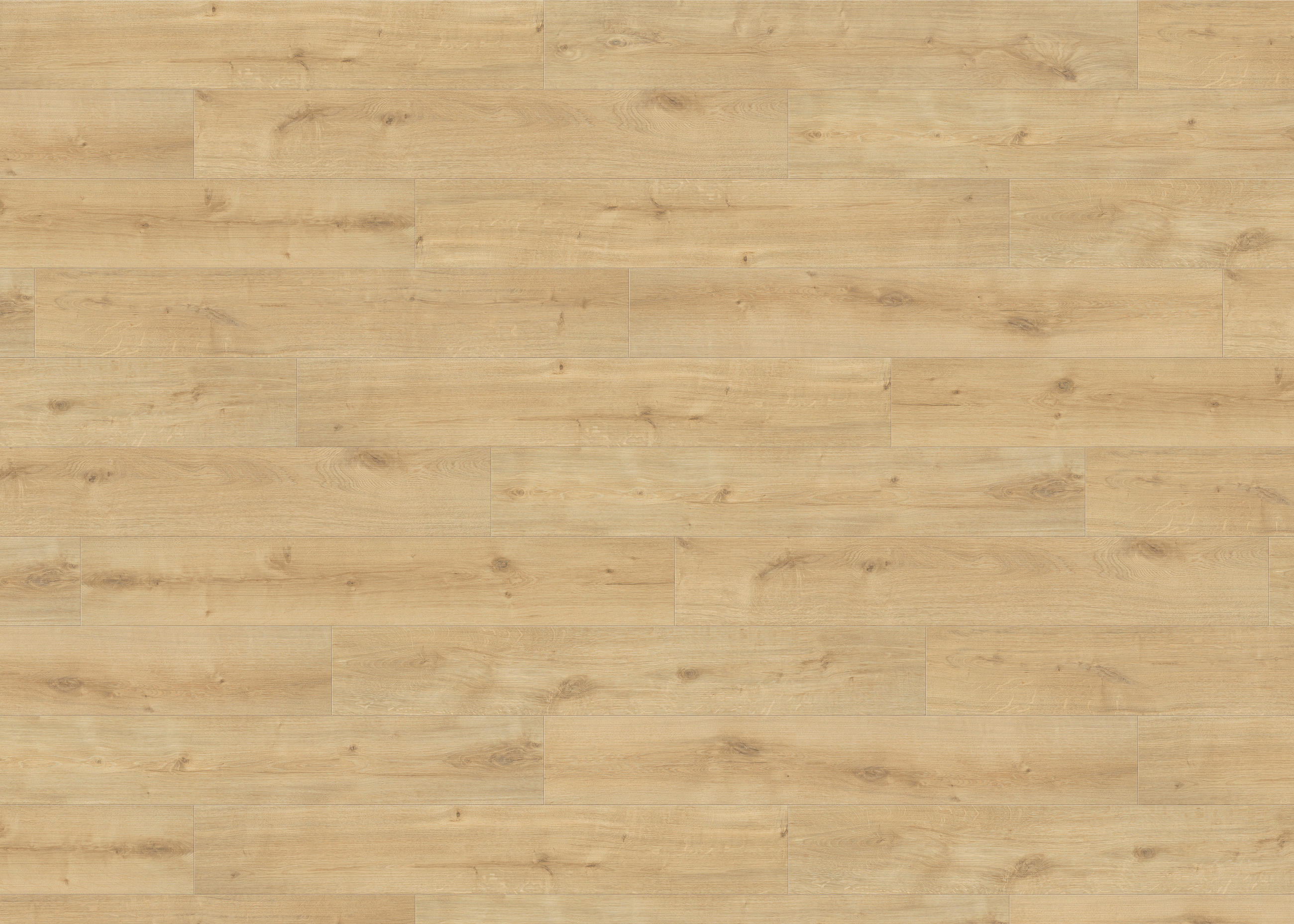 LAMINATBODEN Living by HARO Laminat Sonderedition NKL 31  per  m² - Hellbraun, Basics, Holzwerkstoff (19.3/128.2cm) - Living by HARO