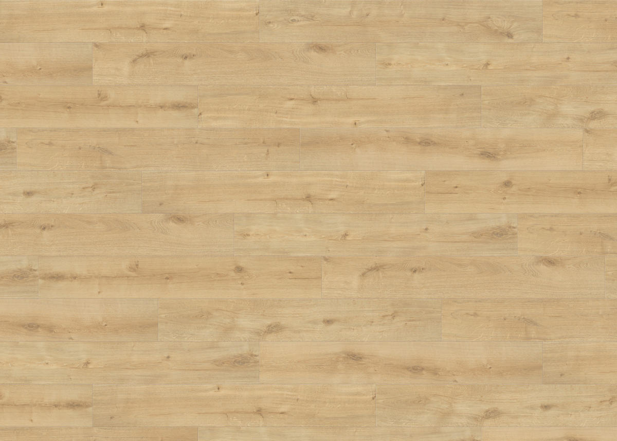 LAMINATBODEN Living by HARO Laminat Sonderedition NKL 31  per  m² - Hellbraun, Basics, Holzwerkstoff (19.3/128.2cm) - Living by HARO