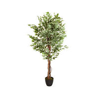 KONSTVÄXT Ficus Benjamina  - vit/grön, Basics, plast (80/165/80cm) - MID.YOU