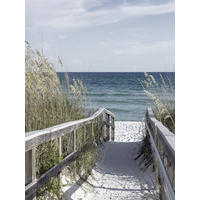 GLASBILD Strand & Meer 30/40 cm  - Multicolor, Natur, Glas (30/40cm) - Euroart