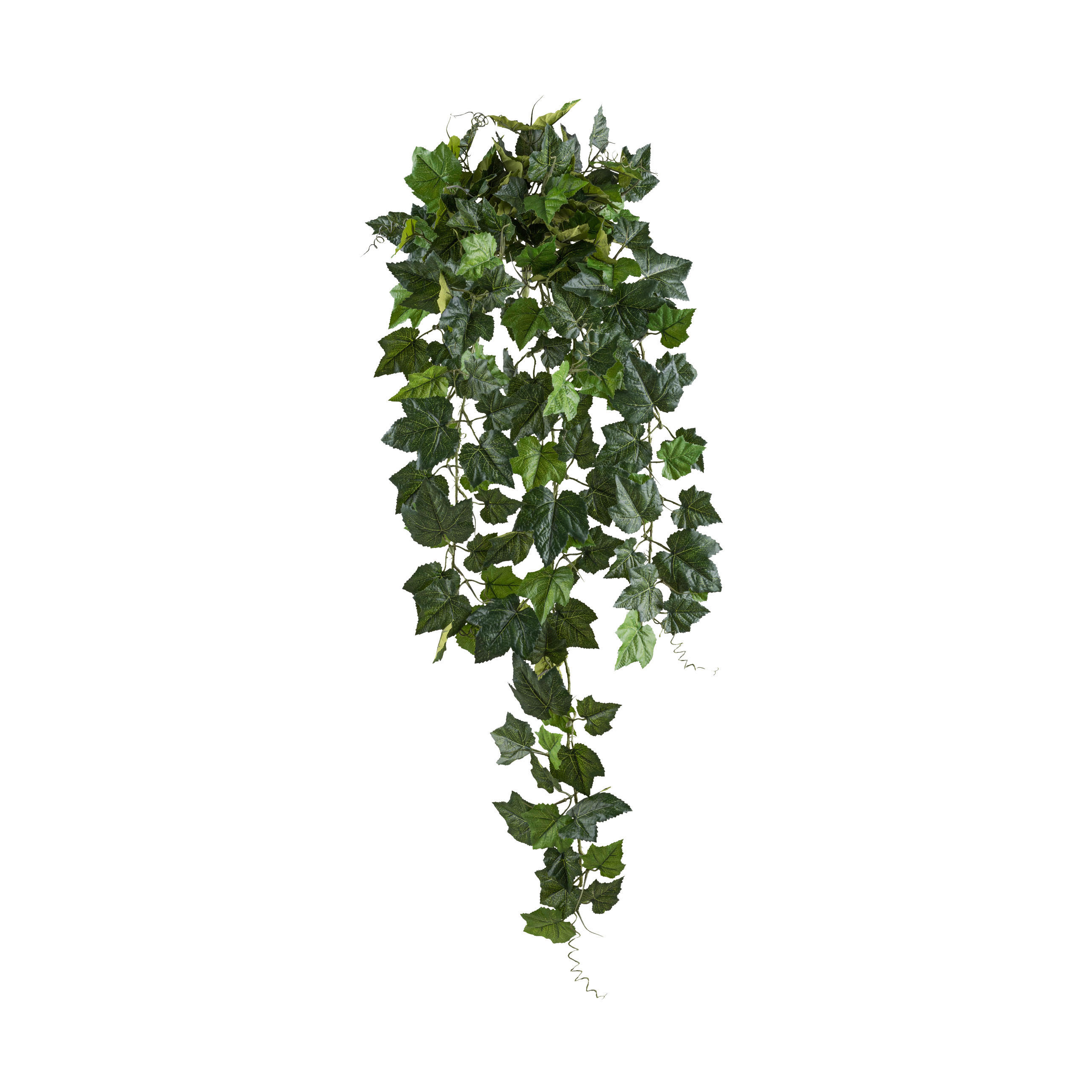 KUNSTPFLANZE 68 cm  - Grün, Design, Kunststoff (68cm) - P & B