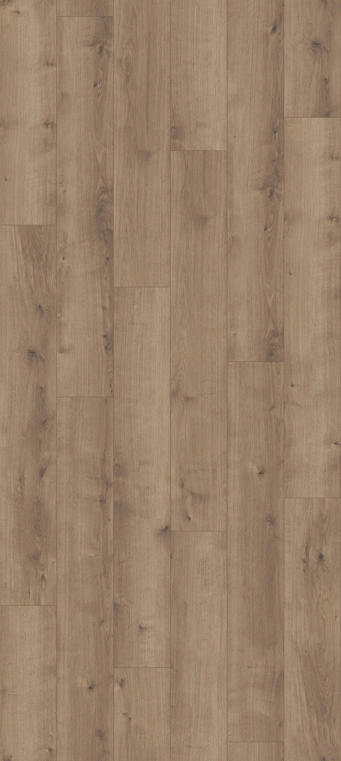DESIGNBODEN MOULAR ONE 1730768  per  m² - Eichefarben/Dunkelgrau, Basics, Holz/Kunststoff (128,5/19,4/0,8cm) - Parador